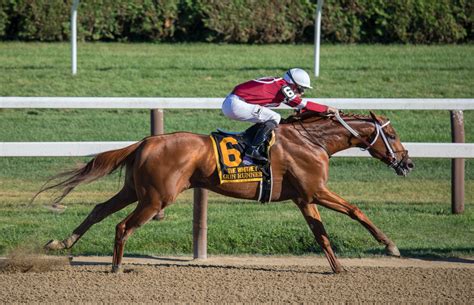Just Horse Racing .